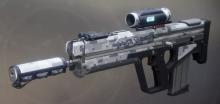 A scout rifle introduced with the Warmind DLC.