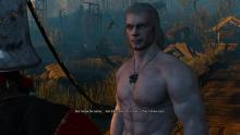 Why not include a bare-chested Henry Cavill as Geralt?