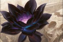 The most valuable flower in all of MTG