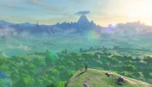 It's easy to find ingredients in this big land of Hyrule, if you explore