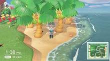 Another type of tree you can have are coconut trees, but they aren't really considered a fruit you can start with in the game.