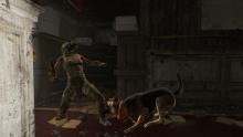 During combat, Dogmeat can temporarily pin an enemy down. 