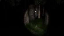 Your only defenses against Slender's titular monster are your own two eyes.