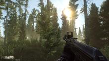 Dense forests work well to set up ambushes