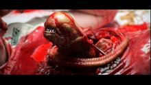 A newborn xenomorph right after it has burst from it's host's chest; these scenes happen throughout the Alien films, and are a major contributor to the horror factor of the franchise.