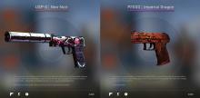 Here are a few of my favorite pistol weapon skins Neo Noir and Imperial Dragon side by side!