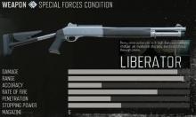 The pros and cons of a Liberator.