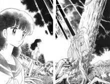 Kagome sees Inuyasha for the first time.