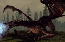 Fight fearsome foes with thoughtful tactics in Dragon Age. 