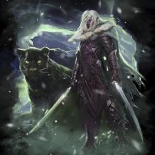 Drizzt do'Urden is the only exemple of a well intentioned character of this race
