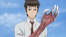 Shinichi is a genuinely good character, if not written to be down on his luck. His oddly forged relationship with his personal Parasite also gives the story its charms and its shivers, so I believe that it works.