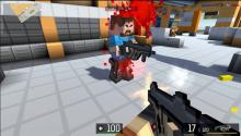 A 3D cubic shooter that will give you everything you've ever wanted.