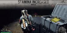 This shows the visual feedback of injecting a successful stamina attribute upgrade