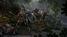 A team is needed to survive the dangerous lands of Tamriel
