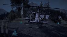 Helicopter with a custom skin.