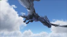 A stark contrast to the Fire Wyvern, the Ice Wyvern is chillingly beautiful.