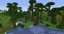 An image of the jungle biome