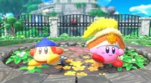 Co-op Multiplayer Kirby