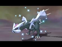 With luck and perseverance, the player encounters a shiny Kyurem