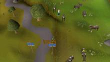 Get yourself some early levels by killing the Lumbridge cows.