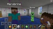 This person took NPC's quite literally, creating a herobrine NPC and rightfully naming a creeper a boomer.