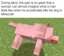 Killing your Minecraft dog is a sadness that is indescribable.