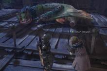 Stop the Senseless Violence. Capture the Pookei-Pookei in Monster Hunter: World instead of murdering it's face and then take it home to admire it's sleeping beauty.