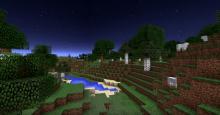 Experience Minecraft in its purest form, journeying through a multiplayer world where anything is possible.