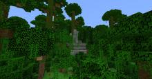 A jungle temple rests nestled between large trees. 