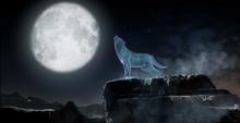 Nightwolf barks at the moon in this fantastic win pose. 