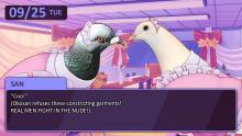 Never thought I'd ever agree with a pigeon about something.