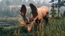You'll need a Rifle like the Bolt Action to take down larger game like Moose.