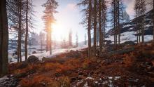 A snowy, forested hillside in game.