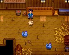 Blue chickens become available after Shane's 8th heart event 