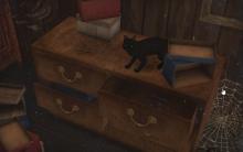 This kitty is here as an omen that these items are absolutely going to get you haunted. [Image via helen-sims]