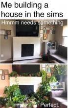 adding plants to decorate your house.