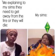 A meme that shows how the sims can be hardheaded
