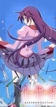 This cover art displays Senjoughara with stationary supplies falling out of her skirt, in reference to the first episode when she threatens Araragi with stationary supplies.