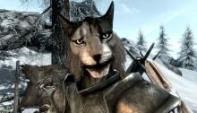 A Khajiit armed to the teeth (and claws) ready for battle. 