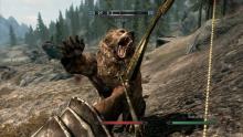 Players can fight bears in Skyrim using their bear hands. Or a bow. 