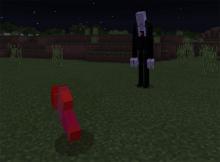 Avoid Slender Man at all costs. An encounter with him signals death. Are you strong enough to avoid his murderous gaze?