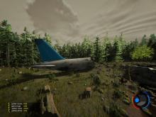 the forest, plane crash, survival of the forest, hunt for food. 