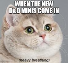 This cat meme about minis is dragging me to filth. 