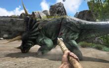 One of Ark's tamable dinosaurs, the triceratops