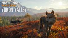 Interact with different wolves and animals