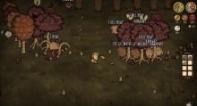 Five Poison Birchnut trees spawn at the same time and the pigs engage in a battle to the death! Bonus: cute little birchnutters!