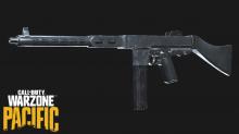 Players can use the Vanguard Cooper Carbine assault rifle.