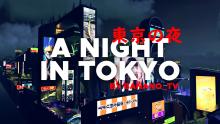 Drive through this Neo-Tokyo cityscape, in the dead of night