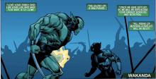 As the world is overrun in Secret Invasion, the reader is shown several areas that are fighting off the Skrulls, including this face-to-face between a very large Skrull and Black Panther.