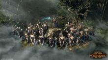 Elves defend their homeland against all enemies